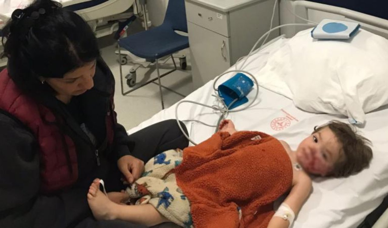 Pitbull tarafından saldırıya uğrayan minik Efe’den sevindiren haber: Ailesiyle görüştü