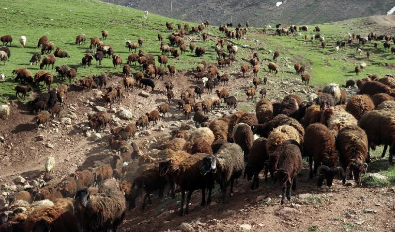 “Halk Elinde Islah Projeleri’’ne 2,7 milyar lira destek sağlandı