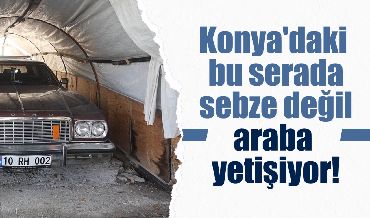 Konya’daki bu serada sebze değil araba yetişiyor!