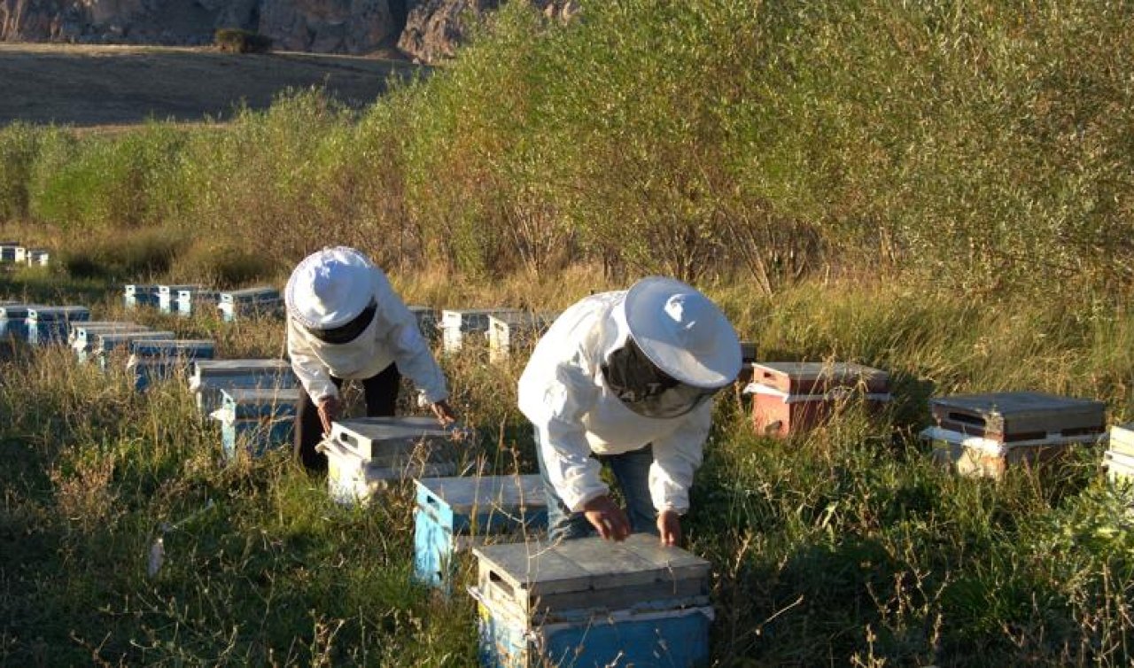 Arıcılık için mesleki standart geliyor