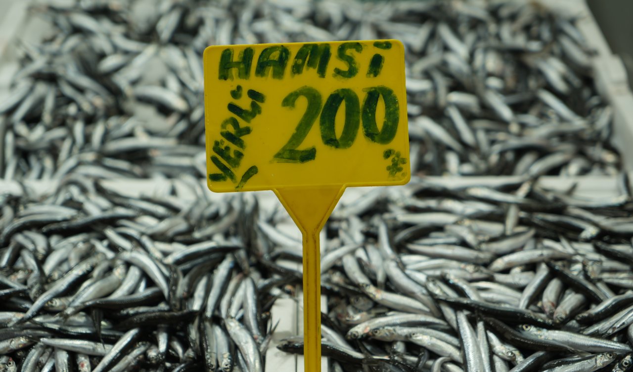 Hamside bolluk azaldı! Fiyatı 200 TL’ye çıktı