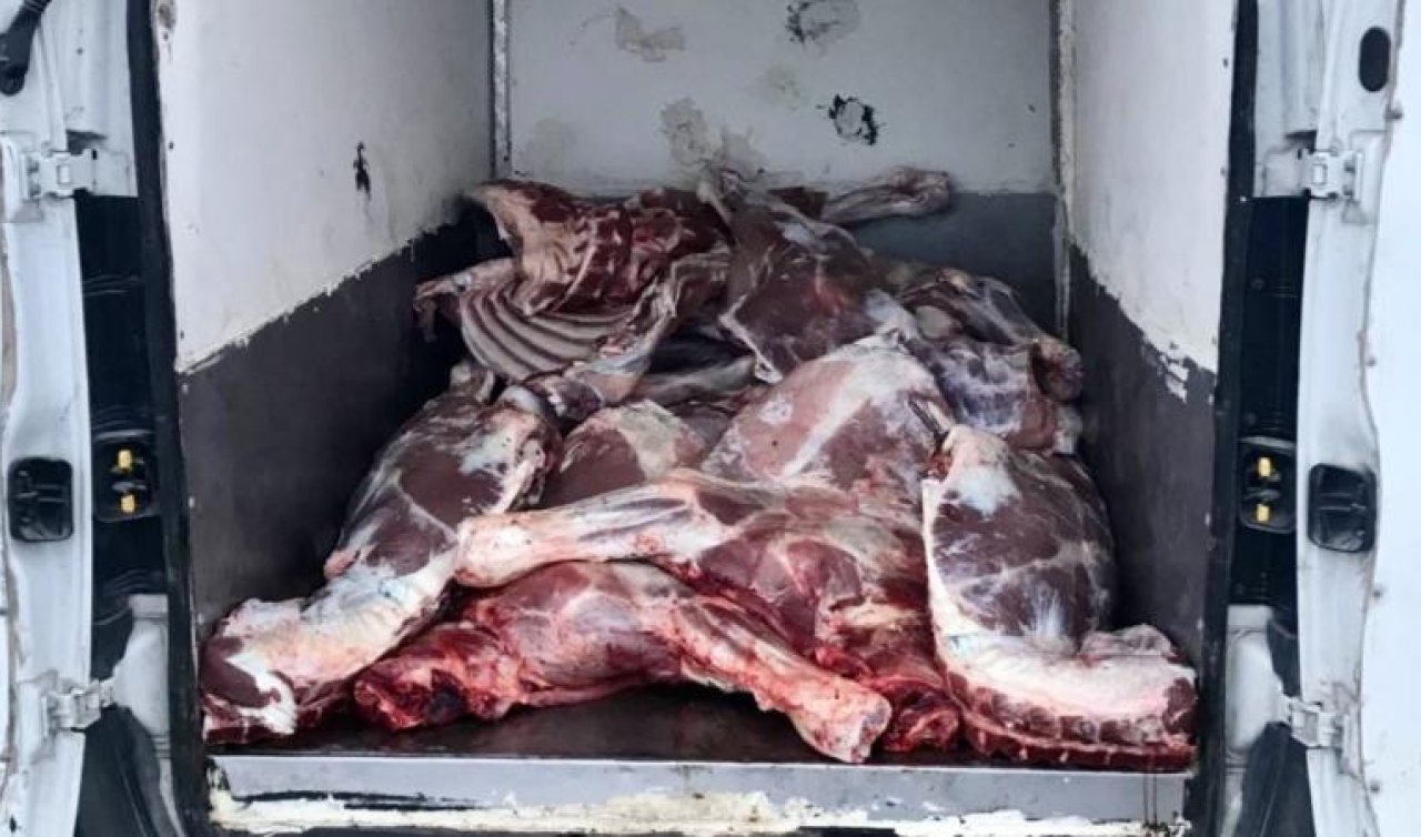 6,1 ton kaçak ve bozulmuş hayvansal ürün ele geçirildi