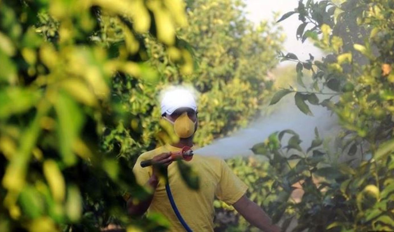 Böcek ilaçlarının satışında yeni düzenleme! Reçetesiz ve internetten satışı yasaklandı