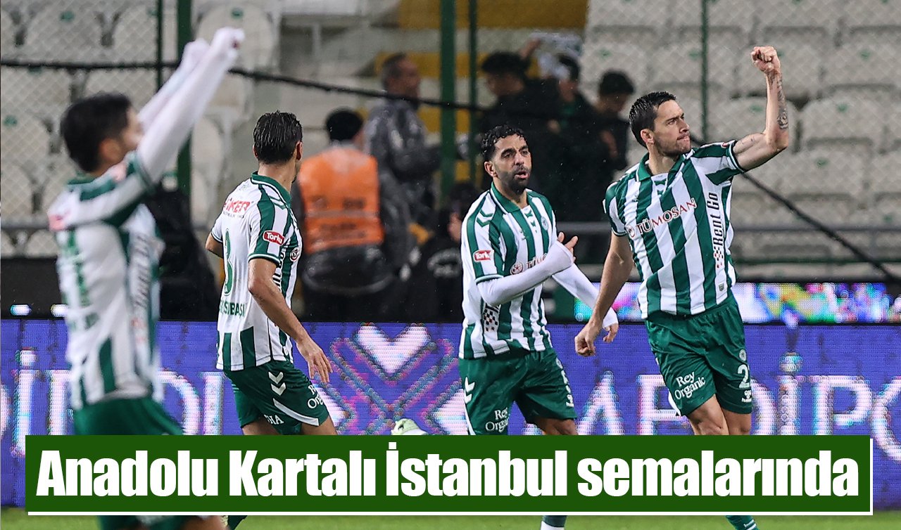 Anadolu Kartalı İstanbul semalarında