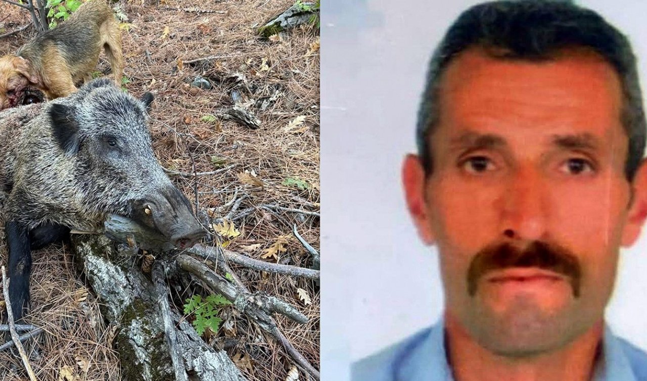 Domuzun saldırısına uğrayan avcı öldü