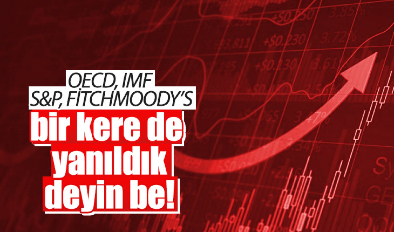 OECD, IMF, S&P,FİTCH, MOODY’S bir kere de yanıldık deyin be! 