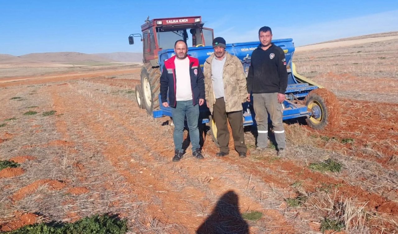 Anıza ekim Ilgın’da yaygınlaşıyor