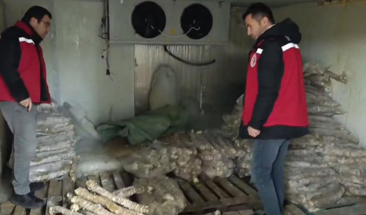 Yapılan denetimde değeri 4 milyon lira olan bozulmuş kokoreç ele geçirildi!