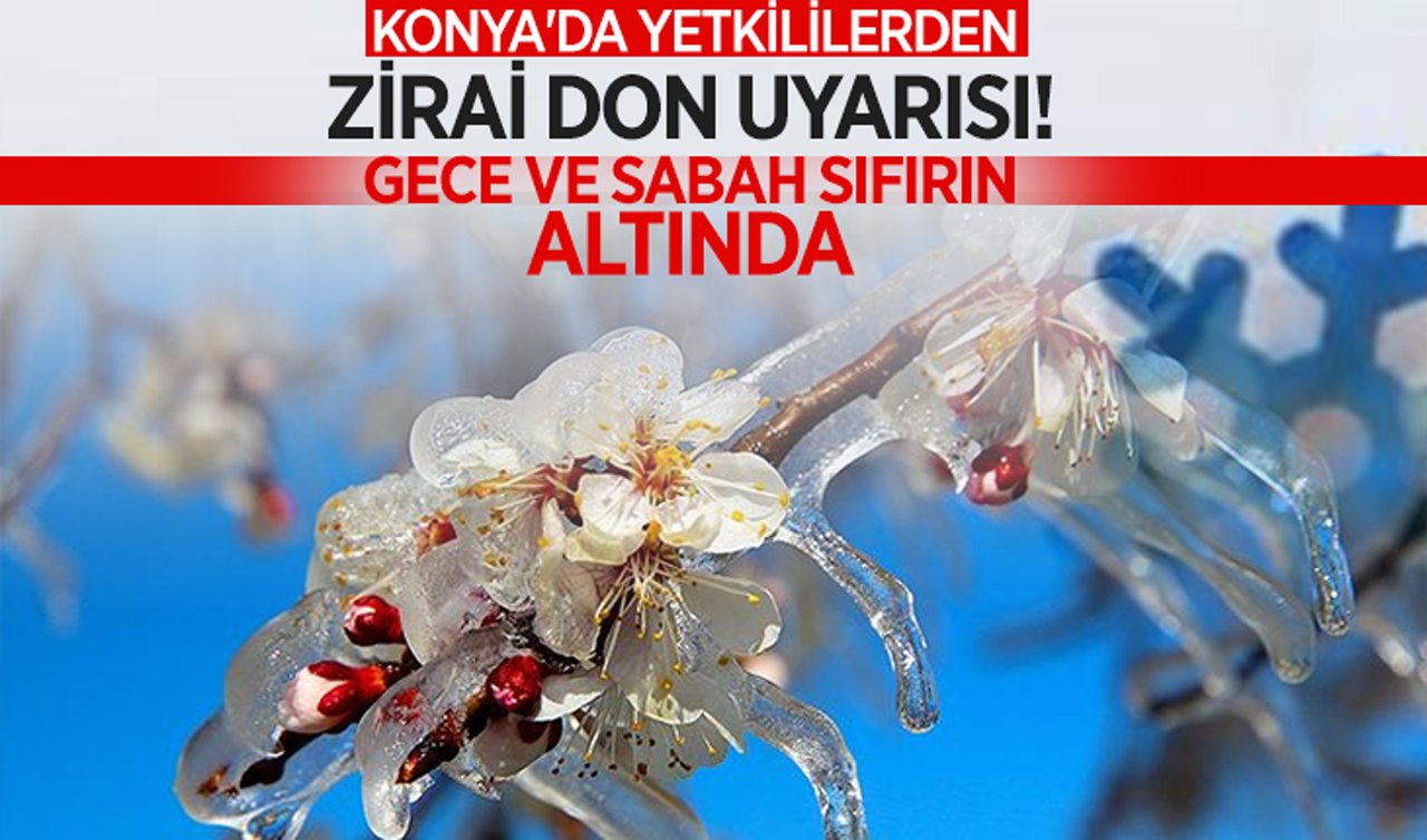 Konya’da yetkililerden zirai don uyarısı: Gece ve sabah sıfırın altında