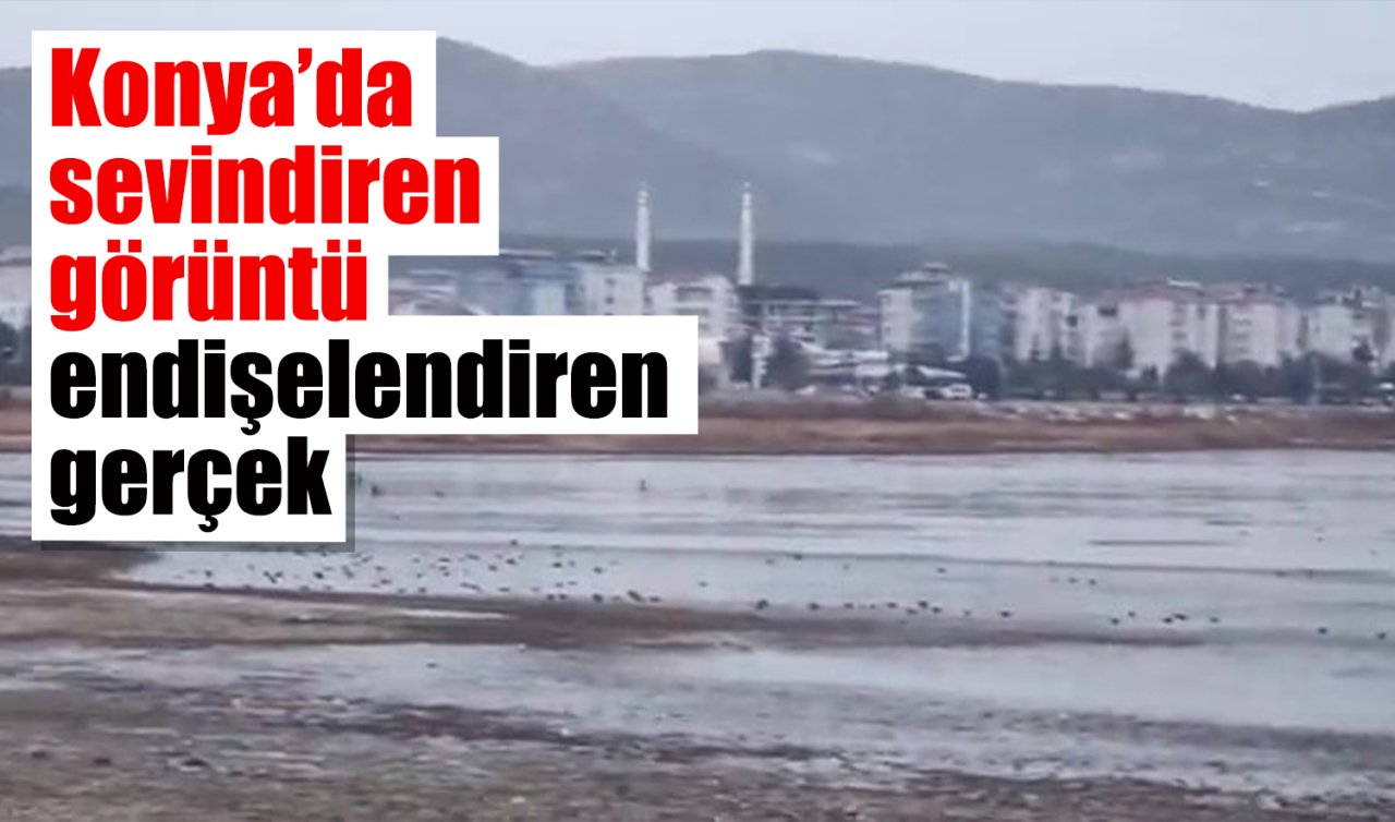 Konya’da uzman isim paylaştı! Sevindiren görüntü endişelendiren gerçek