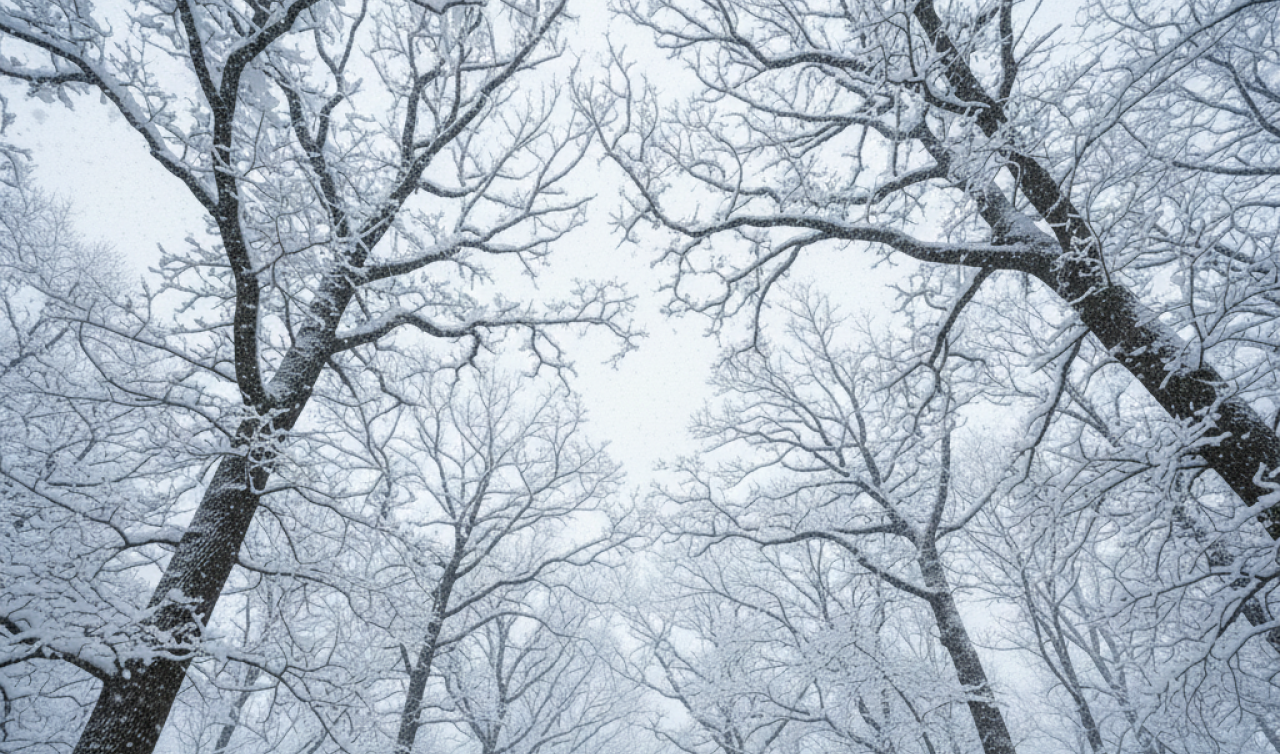 Ardahan’a Bugün Kar Yağacak mı 2025? Ardahan’a Ne Zaman Kar Yağacak? Ardahan Hava Durumu