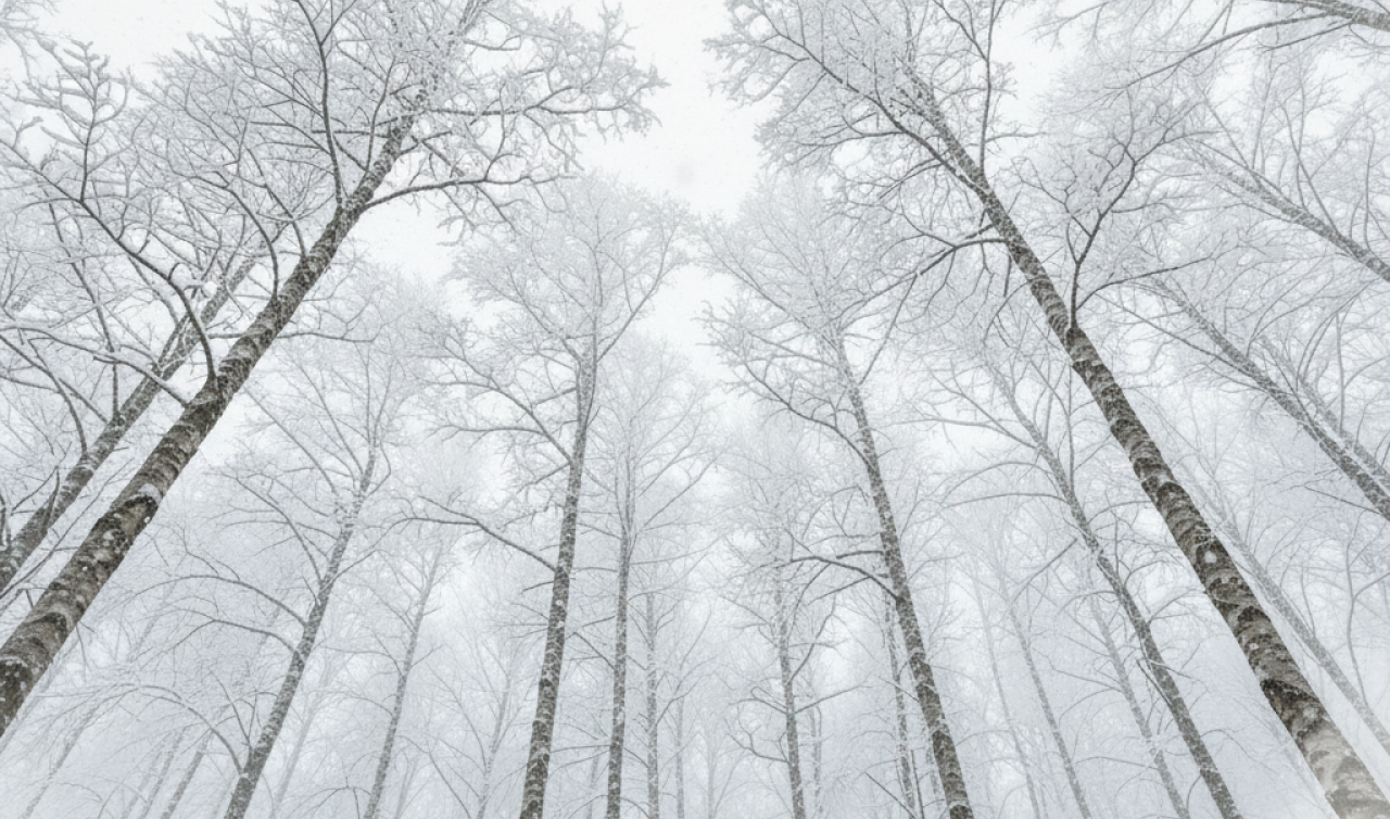 Tunceli’ye Bugün Kar Yağacak mı 2025? Tunceli’ye Ne Zaman Kar Yağacak? Tunceli Hava Durumu