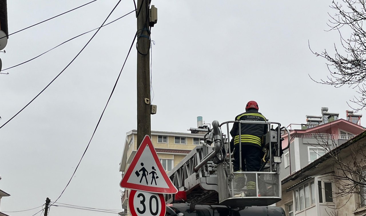 Beyşehir’de itfaiye merdiveni bu kez direğin tepesindeki kedi için uzatıldı