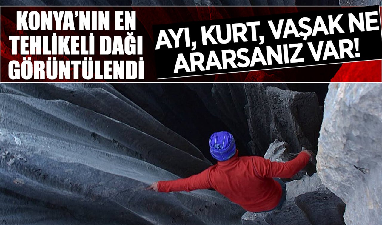 Konya’nın en tehlikeli dağı görüntülendi: Ayı, kurt, vaşak ne ararsanız var! 
