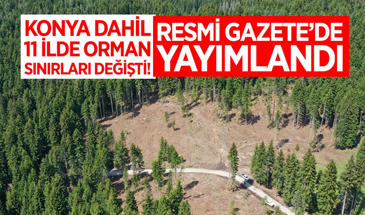 Konya dahil 11 ilde orman sınırları değişti! Resmi Gazete’de yayımlandı