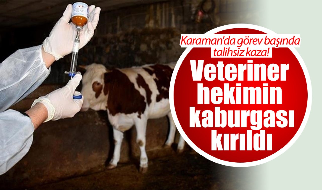 Karaman’da görev başında talihsiz kaza! Veteriner hekimin kaburgası kırıldı 