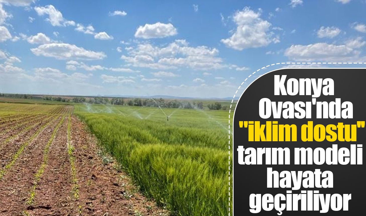 Konya Ovası’nda “iklim dostu’’ tarım modeli hayata geçiriliyor