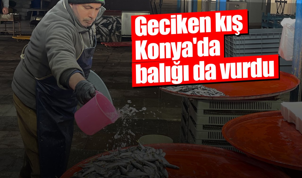 Geciken kış Konya’da balığı da vurdu