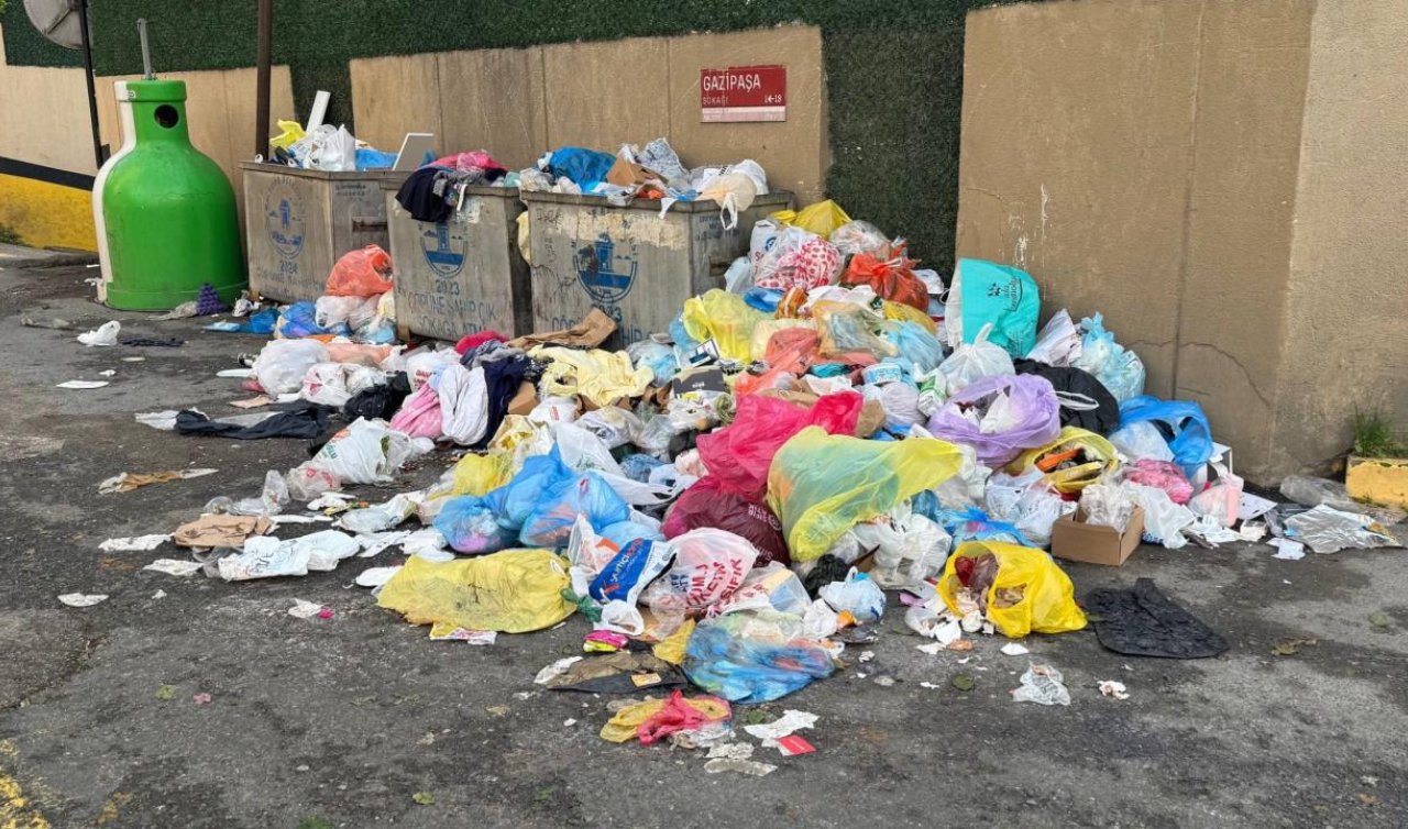 Çevreyi kirletenlere yeni yılda verilecek cezalar belli oldu