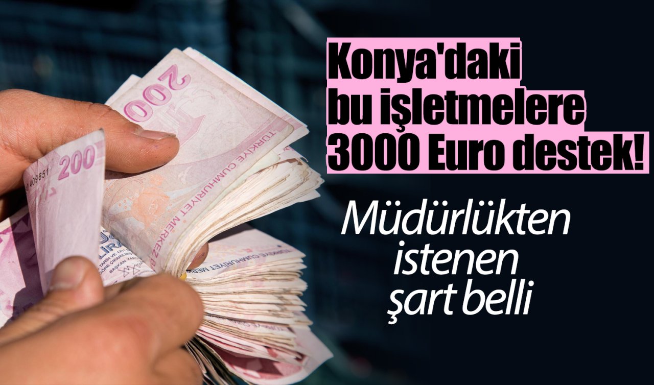 Konya’daki bu işletmelere 3000 Euro destek! Tek şart var 