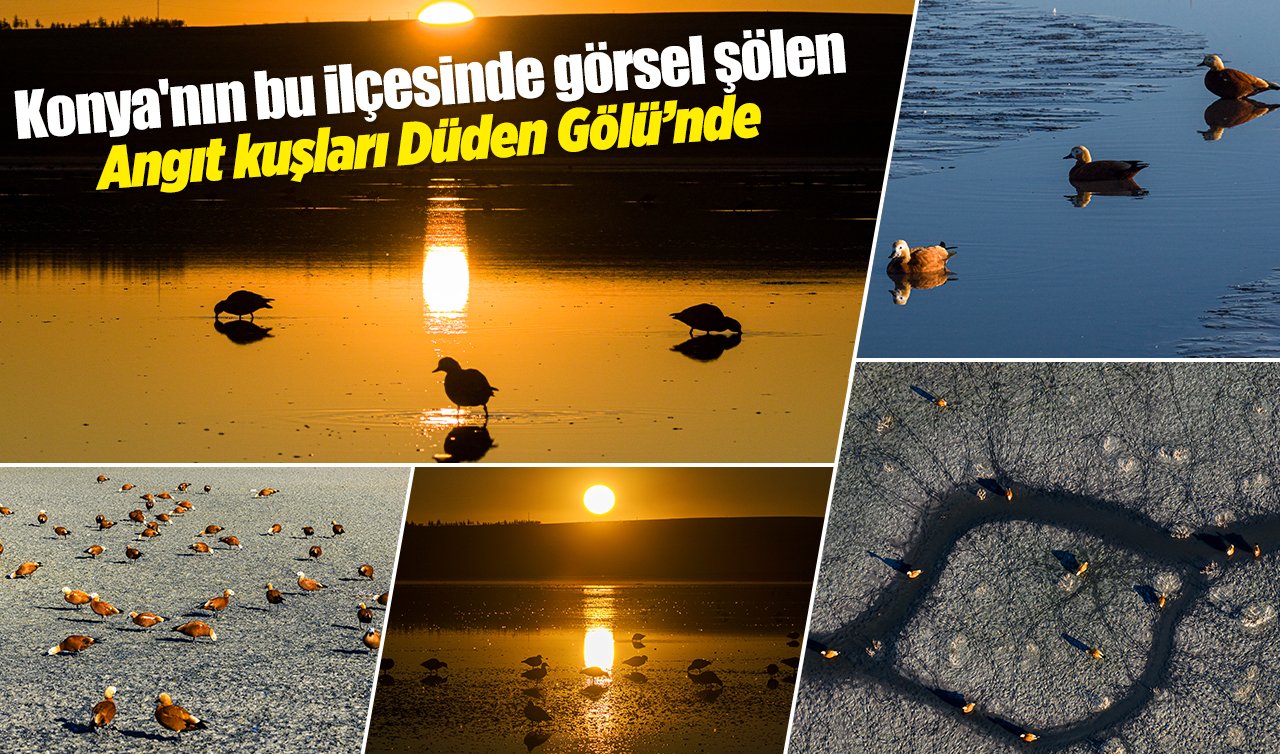 Konya’nın bu ilçesinde görsel şölen: Angıt kuşları Düden Gölü’nde