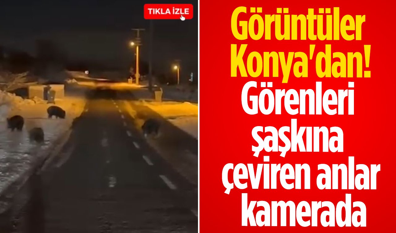 Görüntüler Konya’dan! Görenleri şaşkına çeviren anlar kamerada