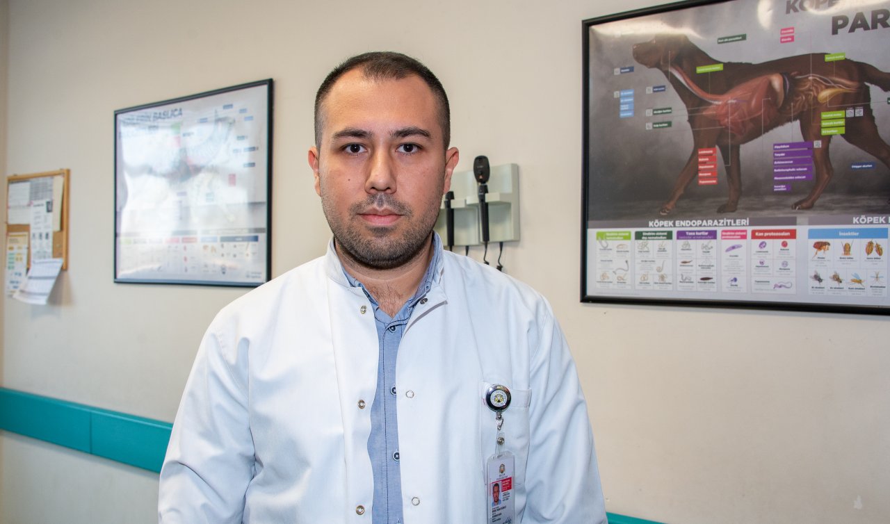 Şap hastalığıyla mücadelede aşılama hayati önem taşıyor