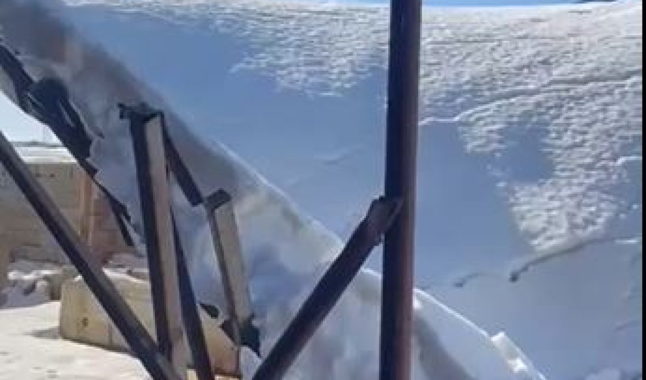 Ahır çöktü: 10 koyun öldü