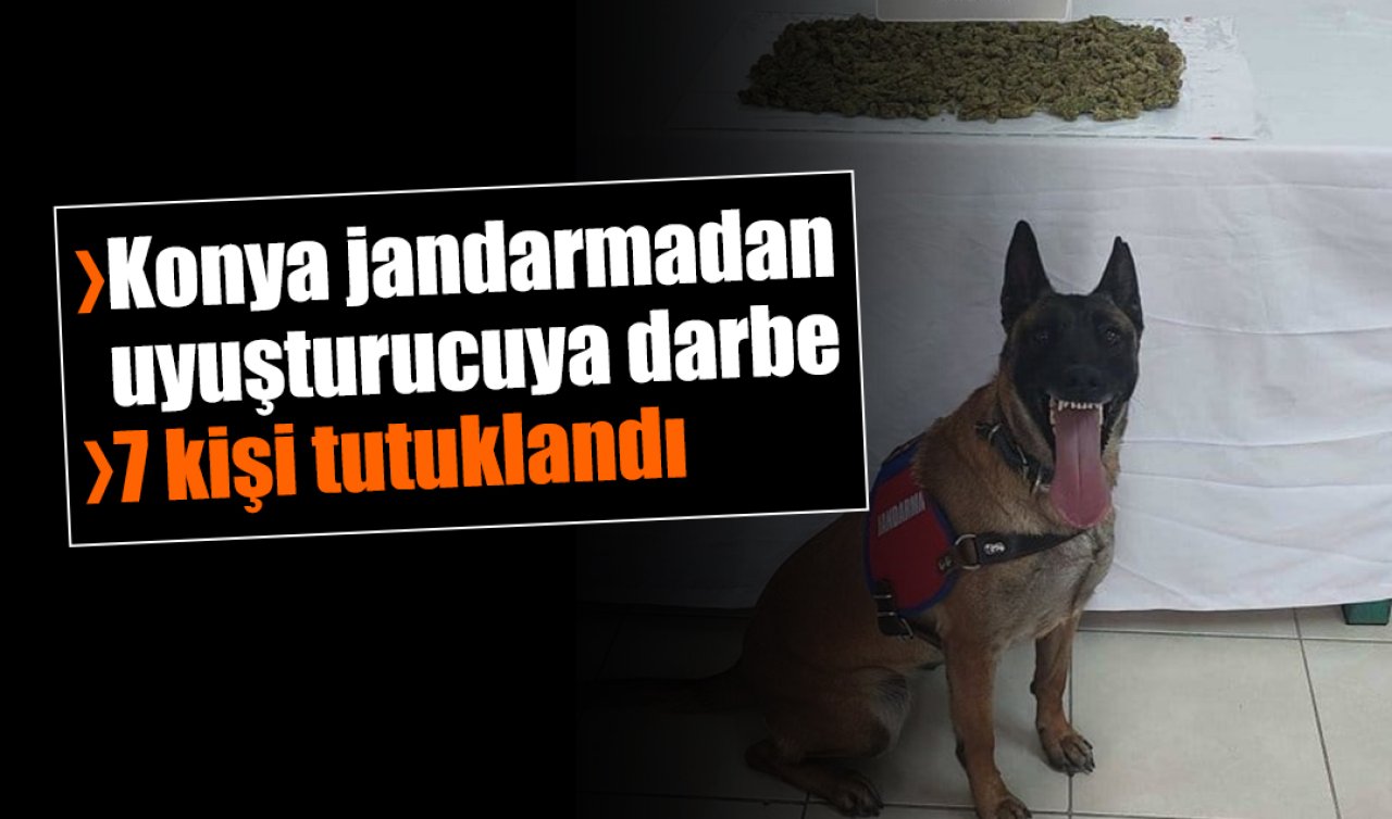 Konya jandarmadan uyuşturucuya darbe: 7 kişi tutuklandı 