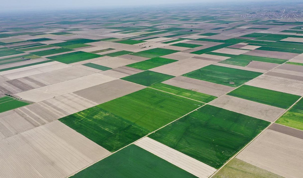 Konya Ovası’nda yağışlar çiftçiyi rahatlattı: Prof. Dr. Süleyman Soylu değerlendirdi!