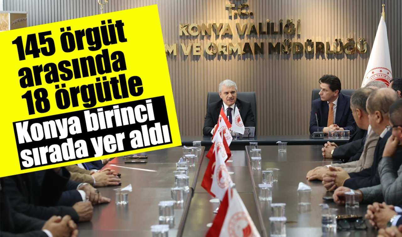 145 örgüt arasında 18 örgütle Konya birinci sırada yer aldı