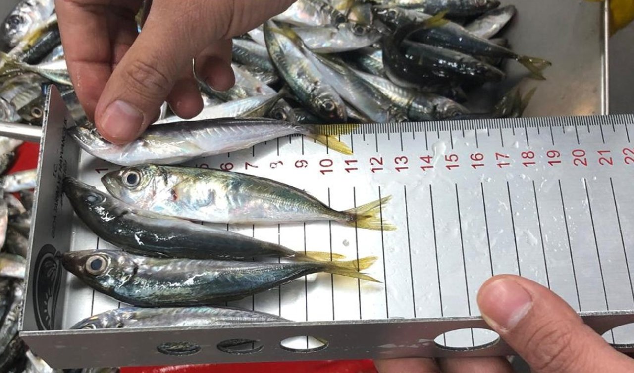 Konya’da sürdürülebilir balıkçılık için denetimler sürüyor