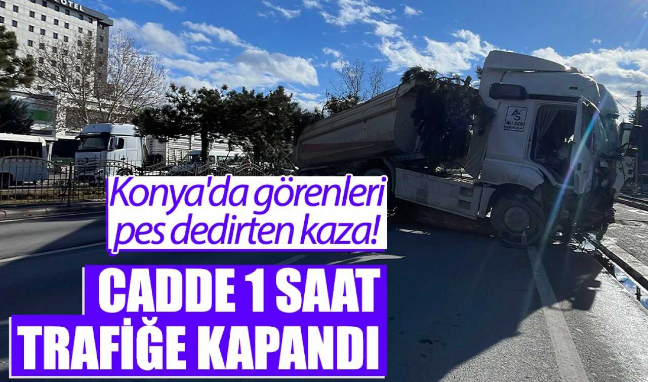Konya’da görenleri pes dedirten kaza! Tır ağaçları ezip karşı şeritte durabildi