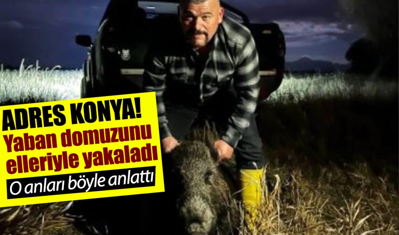 ADRES KONYA! Yaban domuzunu elleriyle yakaladı: O anları böyle anlattı 