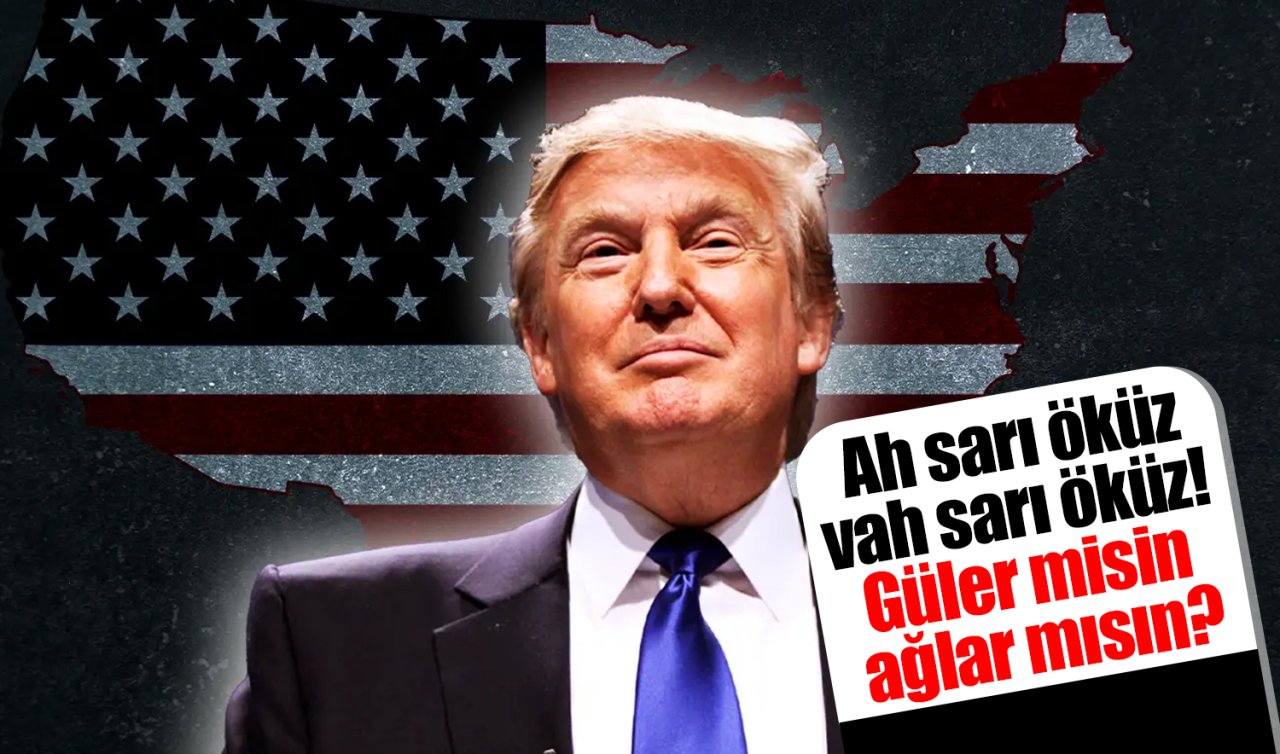 Ah sarı öküz, vah sarı öküz! Güler misin ağlar mısın?