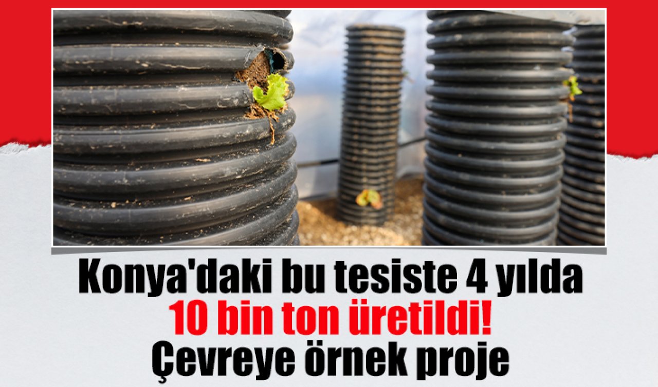Konya’daki bu tesiste 4 yılda 10 bin ton üretildi! Çevreye örnek proje 