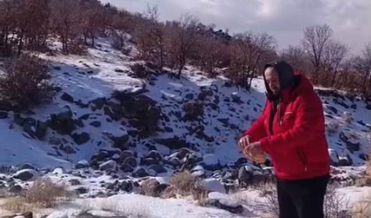 Kar yağışı Karacadağ’daki yaban hayatını zorladı