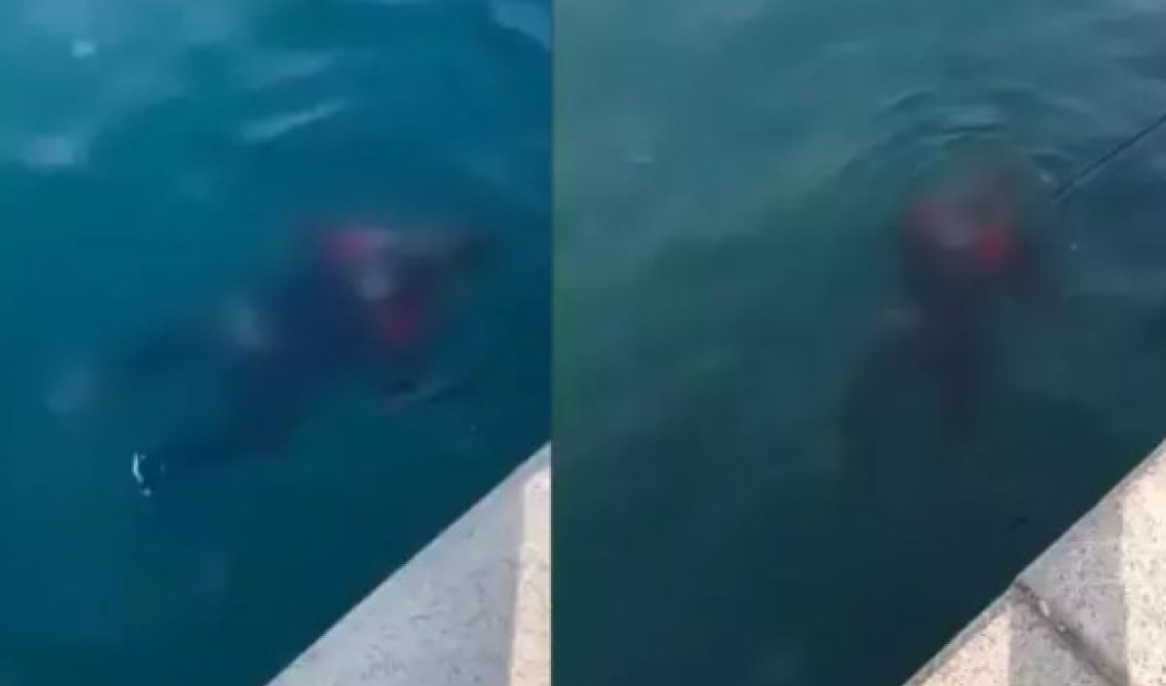 Balık tutan vatandaşların oltasına ceset takıldı