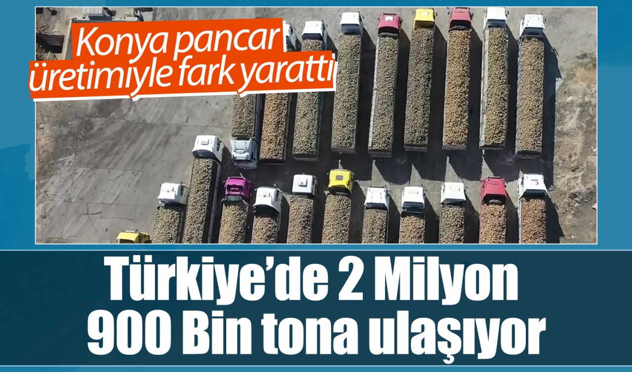 Konya pancar üretimiyle fark yarattı: Türkiye’de 2 Milyon 900 Bin tona ulaşıyor