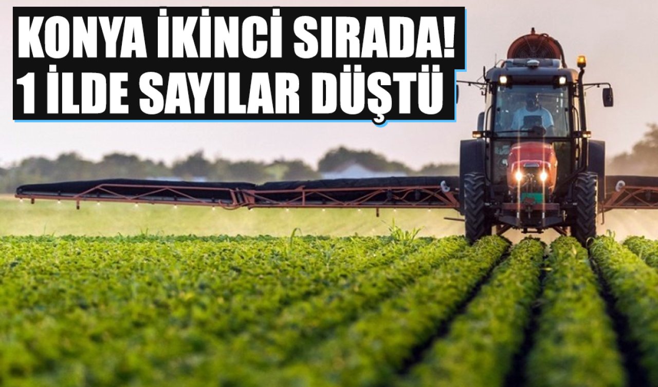 Konya zirve takibinde! 1 ilde sayılar düştü 