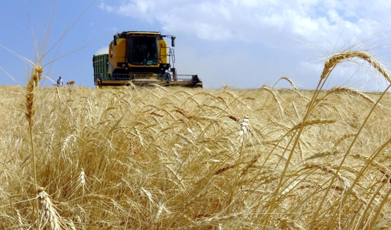 Çiftçilere 255,4 milyon lira destek ödemesi bugün yapılacak