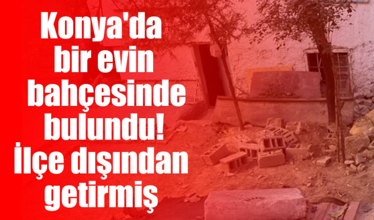 Konya’da bir evin bahçesinde bulundu! İlçe dışından getirmiş 