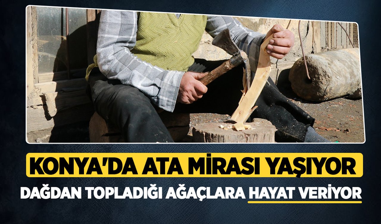 Konya’da ata mirası yaşıyor: Dağdan topladığı ağaçlara hayat veriyor