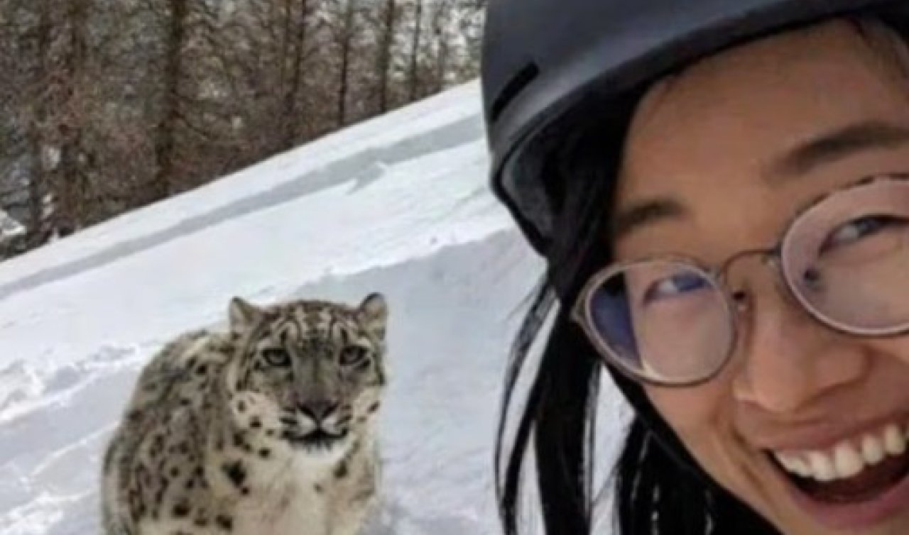  Leoparla selfie çekmek istedi: Ölümden son anda kurtuldu