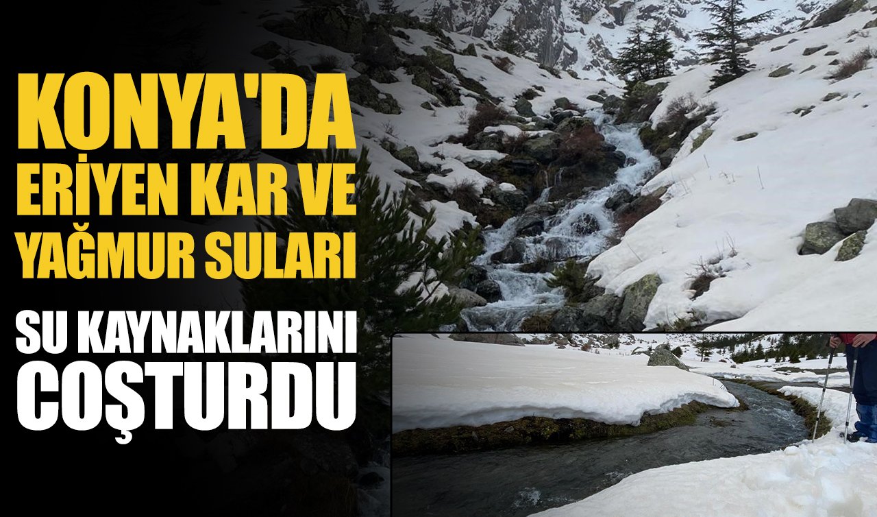Konya’da eriyen kar ve yağmur suları su kaynaklarını coşturdu