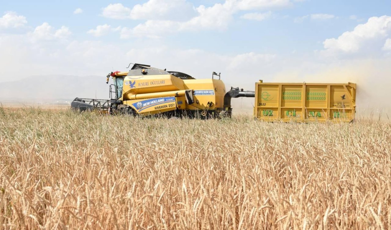 Girişimcilere 114,4 milyon lira hibe aktarıldı