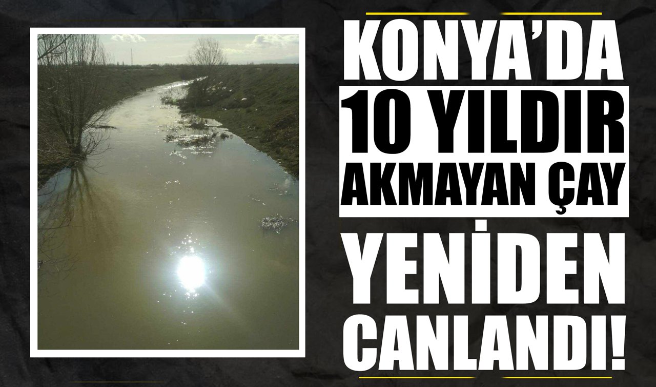 Konya’da 10 yıldır akmayan çay yeniden canlandı! Ya tutarsa