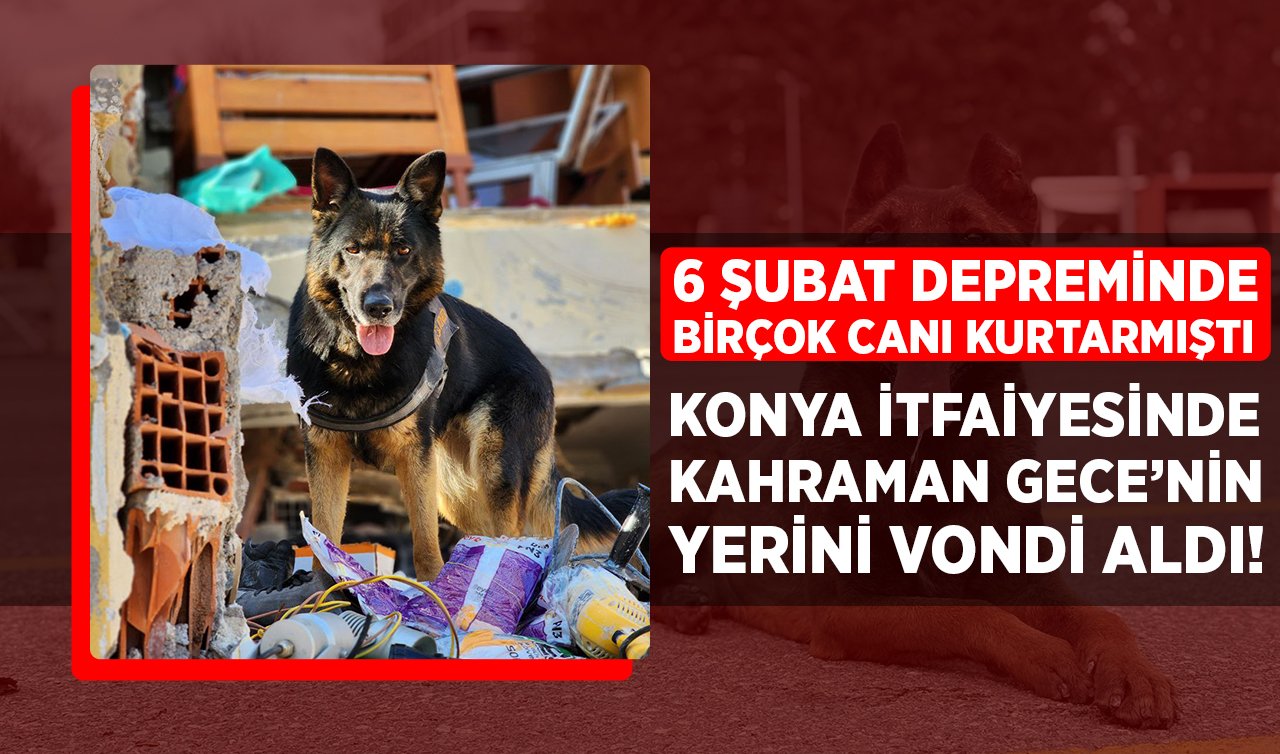 6 Şubat depreminde birçok canı kurtarmıştı: Konya İtfaiyesinde kahraman Gece’nin yerini Vondi aldı!