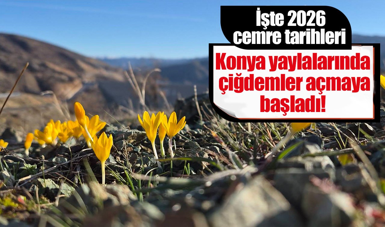 Konya yaylalarında çiğdemler açmaya başladı! İşte 2026 cemre tarihleri 