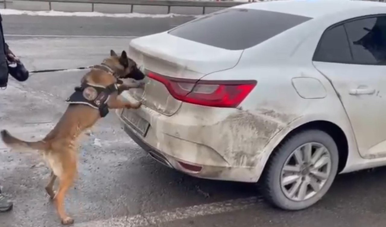 Otomobildeki uyuşturucuyu Hera buldu; 2 şüpheli tutuklandı